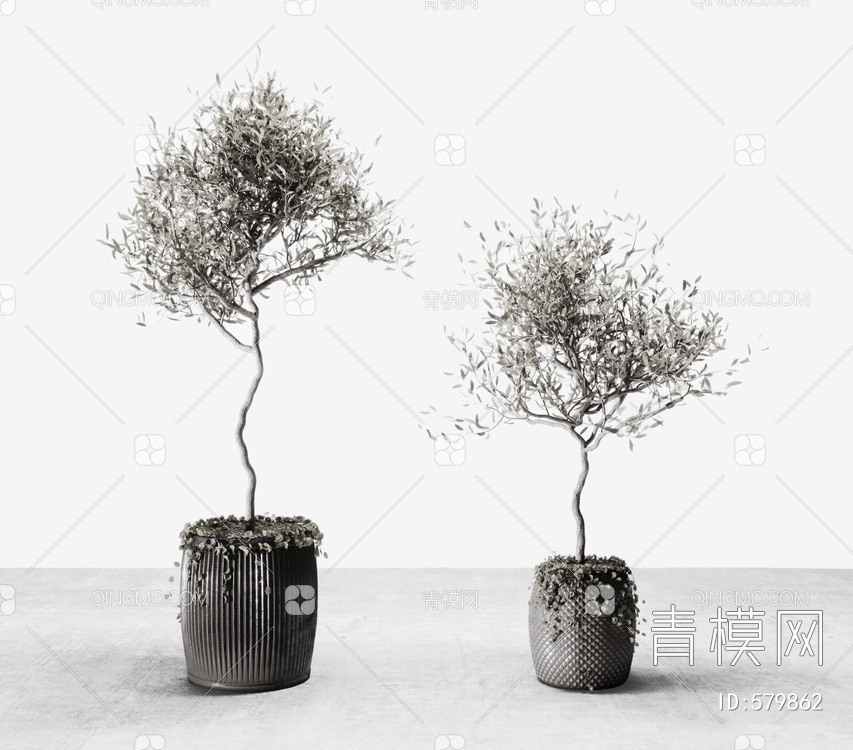 植物盆栽组合3D模型下载【ID:579862】