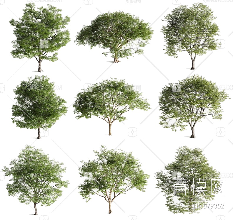室外树木3D模型下载【ID:579352】