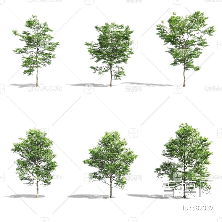 树木3D模型下载【ID:582339】