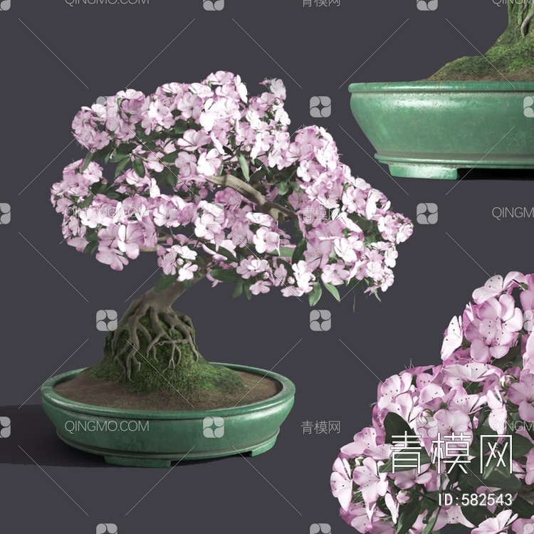 植物盆栽3D模型下载【ID:582543】