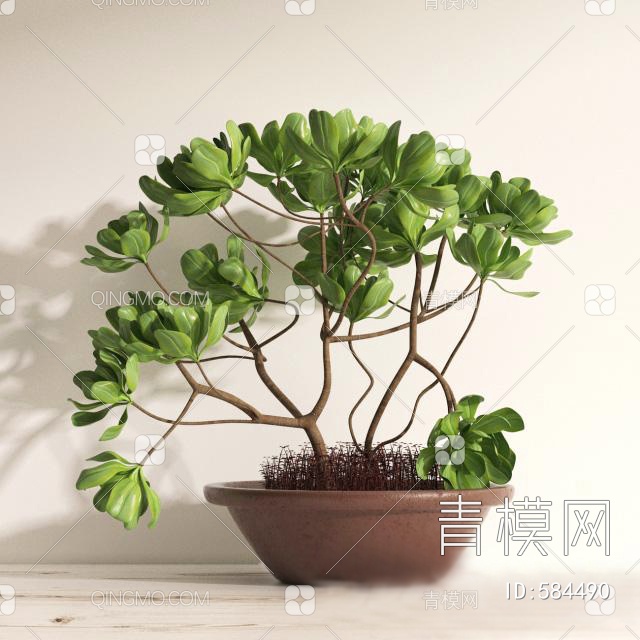 盆栽绿植3D模型下载【ID:584490】