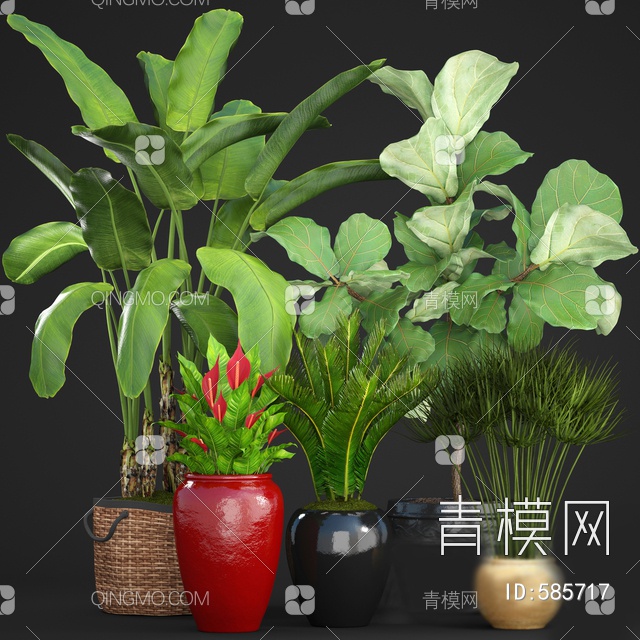 芭蕉叶绿植盆栽3D模型下载【ID:585717】