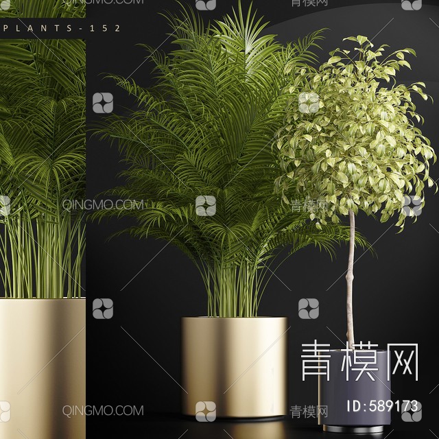 植物3D模型下载【ID:589173】