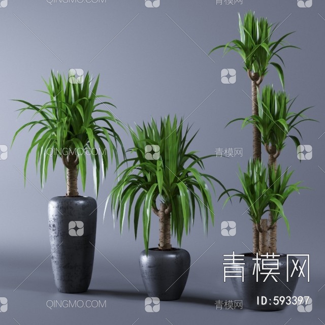 绿植盆栽3D模型下载【ID:593397】