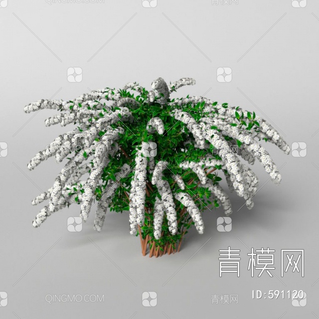灌木3D模型下载【ID:591120】