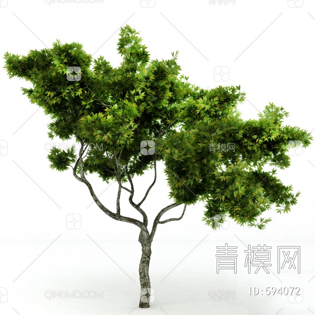 树3D模型下载【ID:594072】