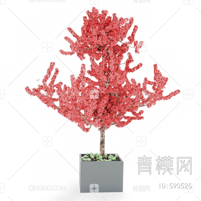 绿植盆栽梅花3D模型下载【ID:590526】