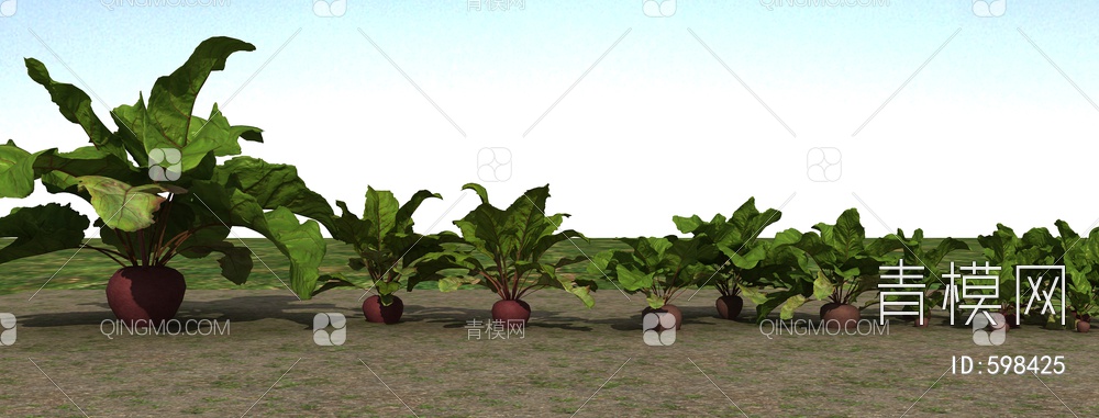 红萝卜植物3D模型下载【ID:598425】