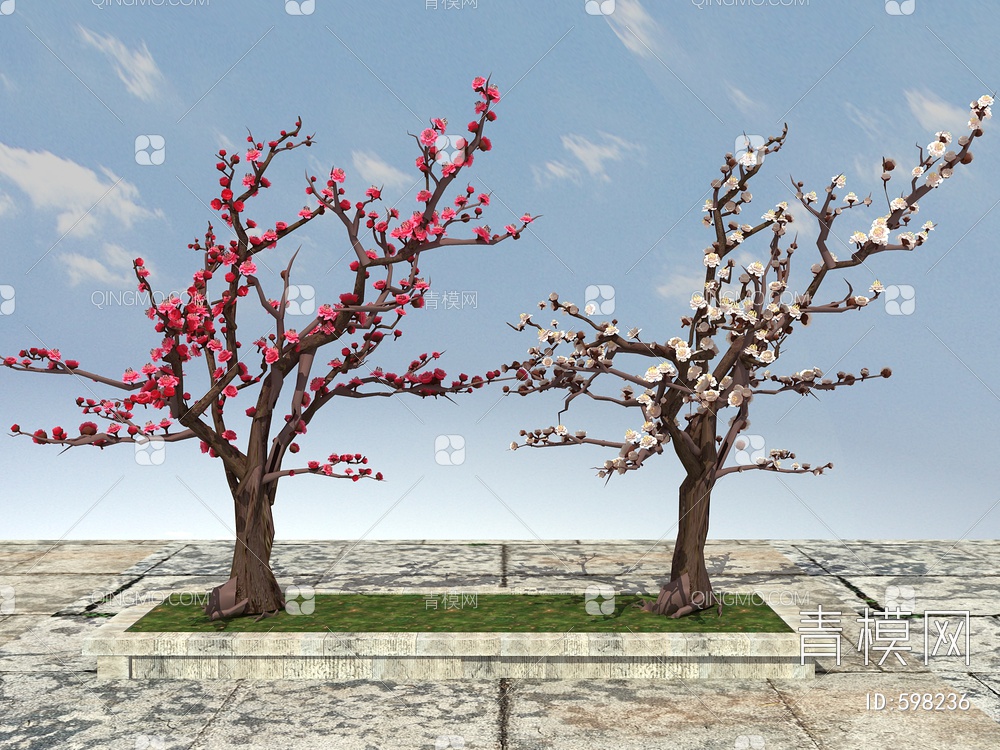 梅花，梅花树3D模型下载【ID:598236】