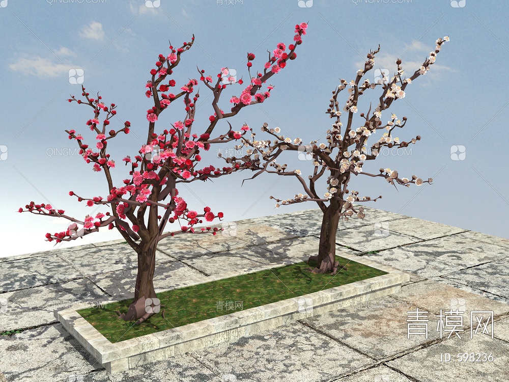 梅花，梅花树3D模型下载【ID:598236】