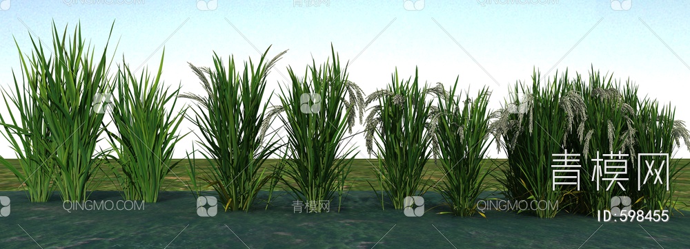 农业作物谷子、水稻3D模型下载【ID:598455】