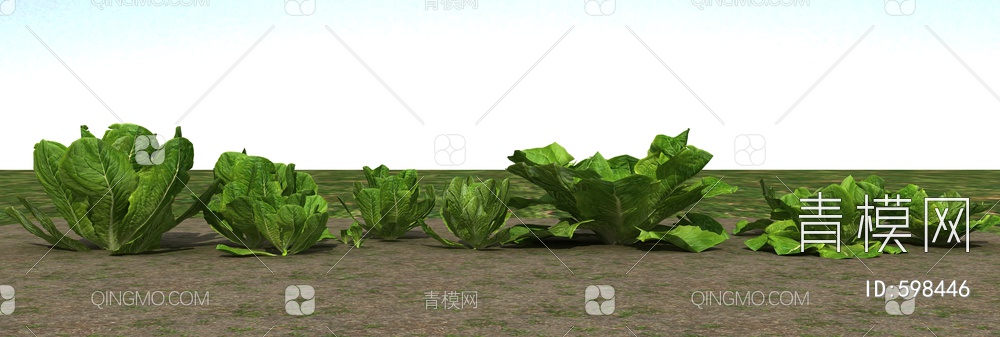 农业作物白菜3D模型下载【ID:598446】