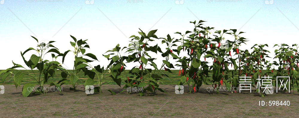 辣椒植物3D模型下载【ID:598440】