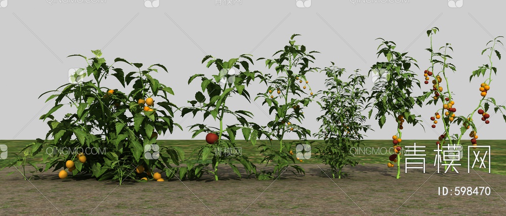 农业作物西红柿3D模型下载【ID:598470】