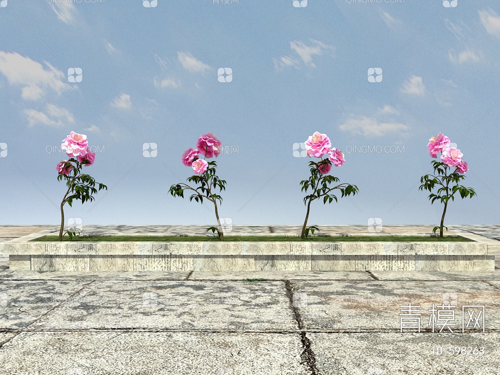 牡丹花，3D模型下载【ID:598263】