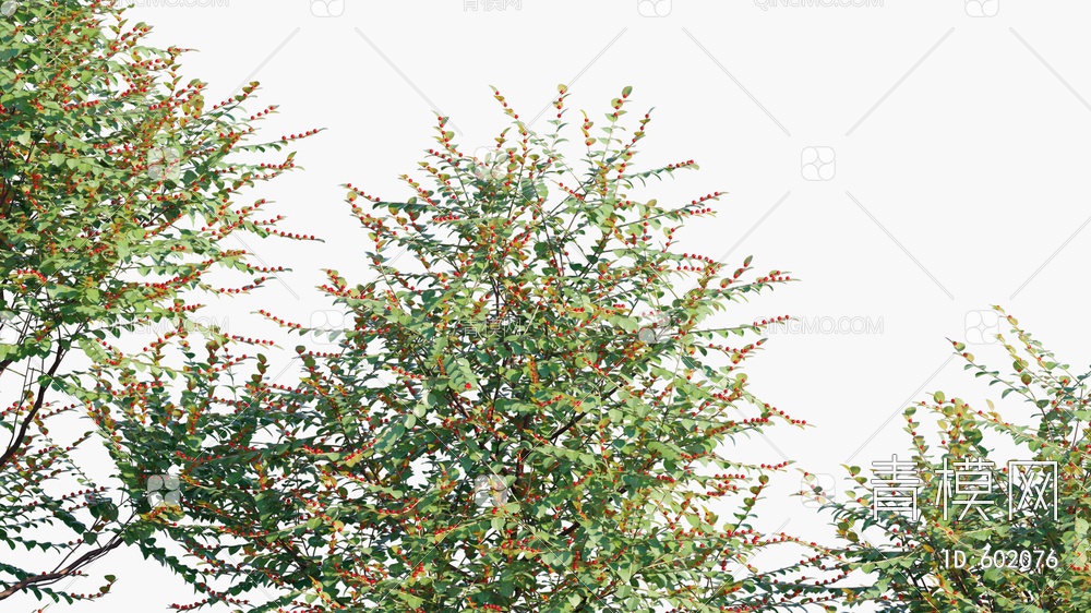 红珠仔  灌木 树3D模型下载【ID:602076】