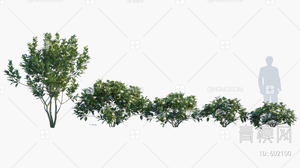 开花植物  植物 绿植3D模型下载【ID:602100】