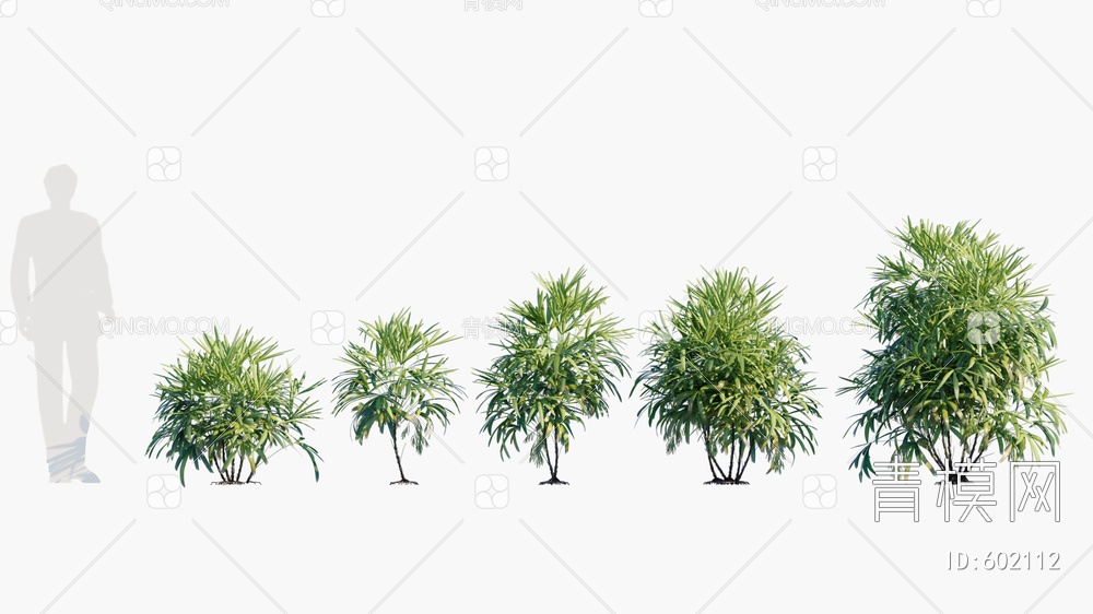 棕竹   植物  绿植3D模型下载【ID:602112】