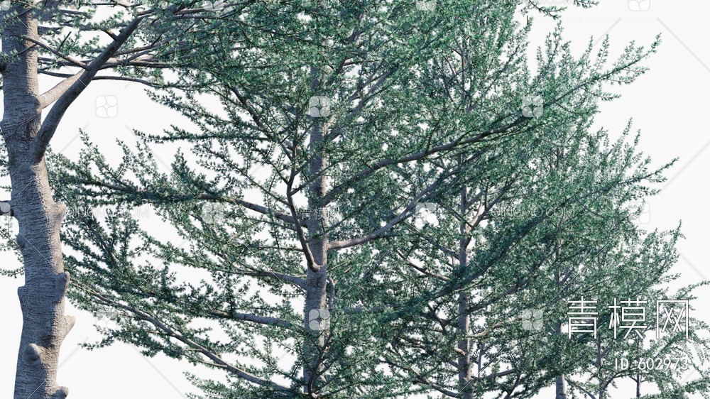 松树 景观树3D模型下载【ID:602973】