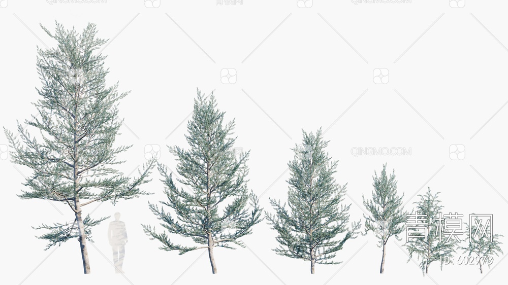 松树 景观树3D模型下载【ID:602973】