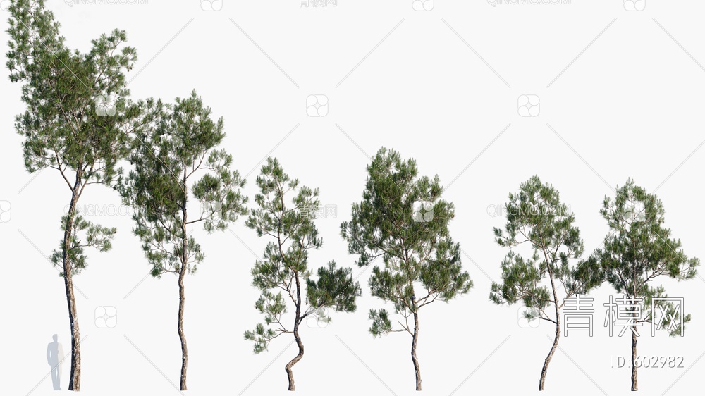 树木 景观树 风景树3D模型下载【ID:602982】