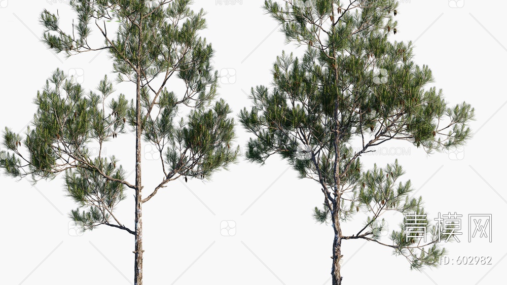 树木 景观树 风景树3D模型下载【ID:602982】
