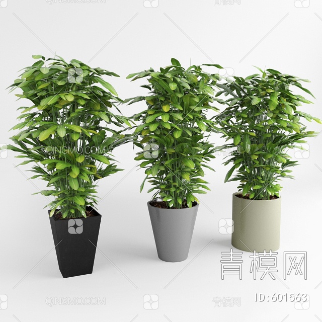 绿植盆栽3D模型下载【ID:601563】