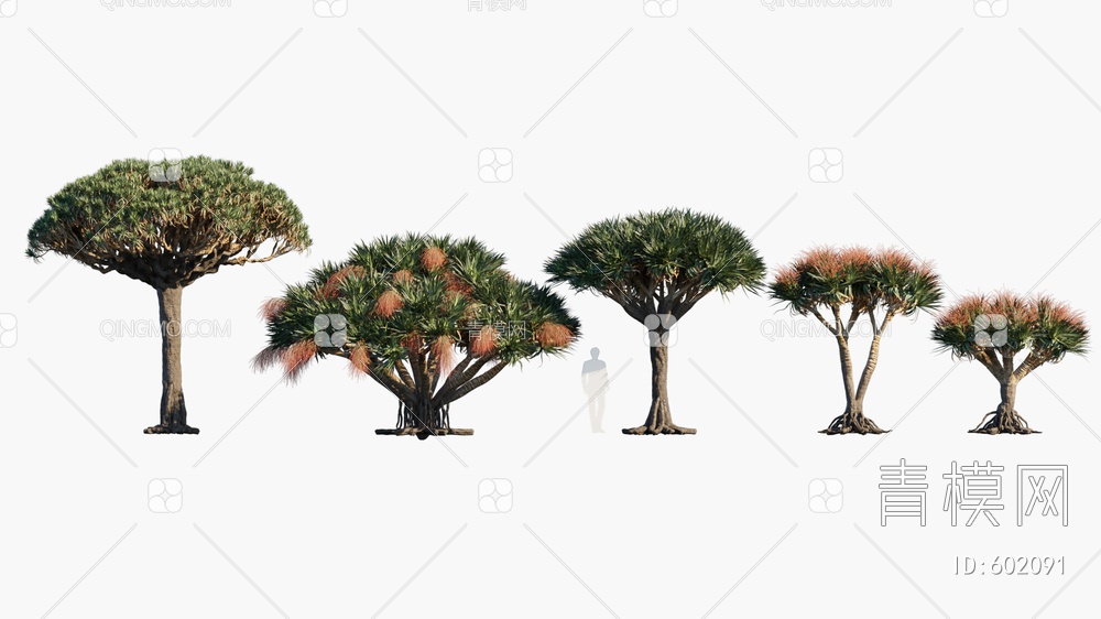 龙血树   树3D模型下载【ID:602091】