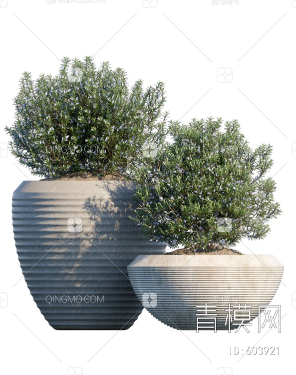 绿植盆栽3D模型下载【ID:603921】
