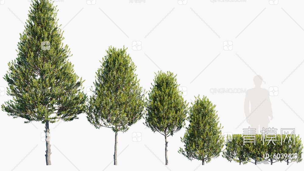 树木 景观树 庭院树3D模型下载【ID:603942】