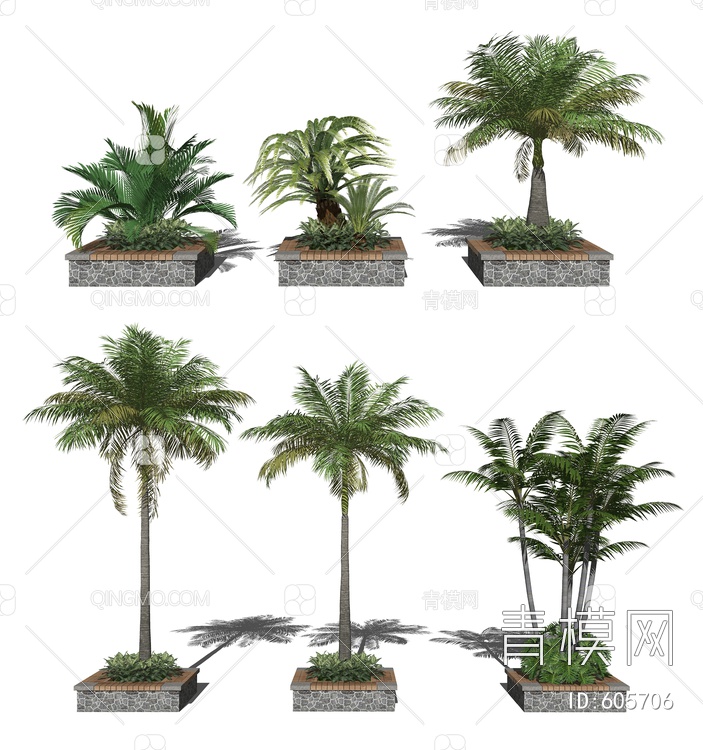 亚热带植物棕榈植物SU模型下载【ID:605706】