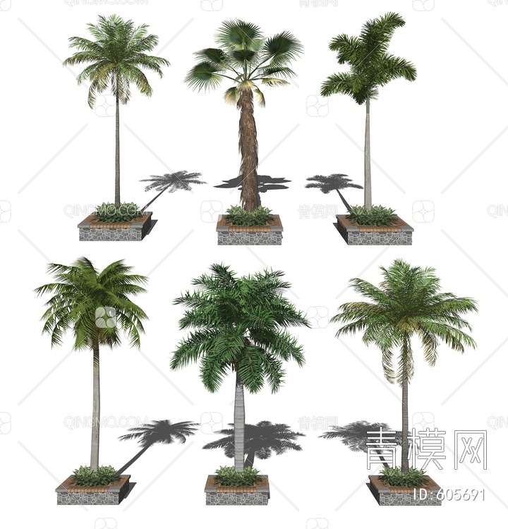 热带植物景观树木SU模型下载【ID:605691】