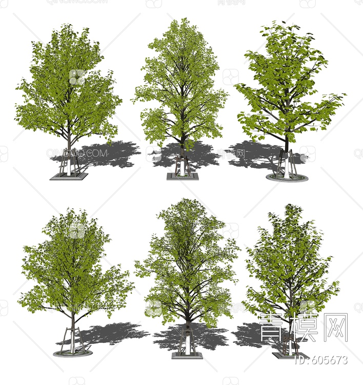 景观树常绿树木SU模型下载【ID:605673】