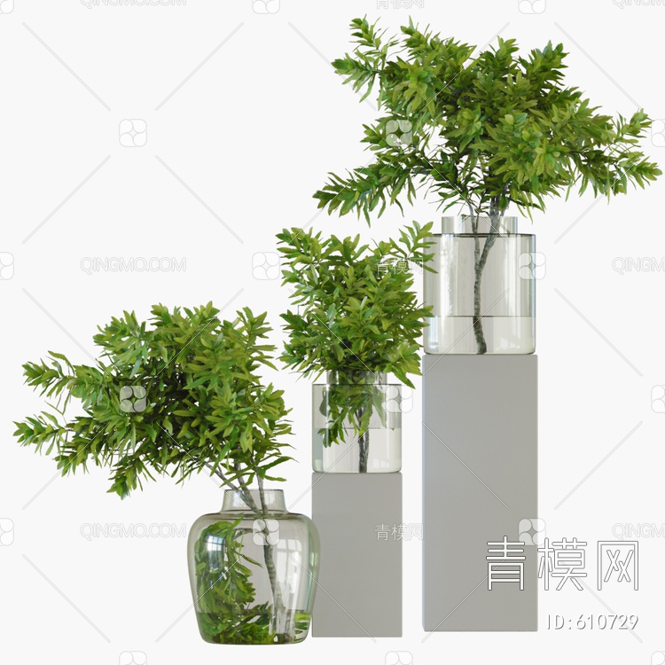 花瓶植物3D模型下载【ID:610729】