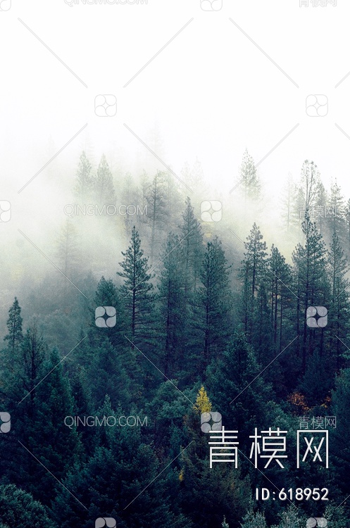 森林风景画贴图下载【ID:618952】