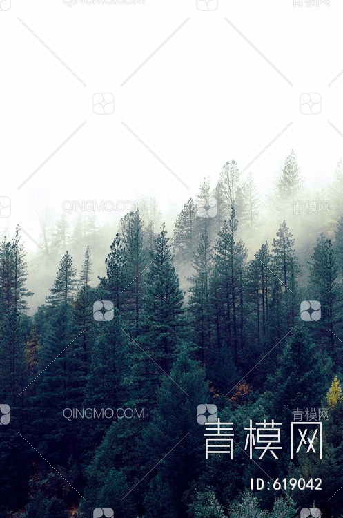 森林风景画贴图下载【ID:619042】