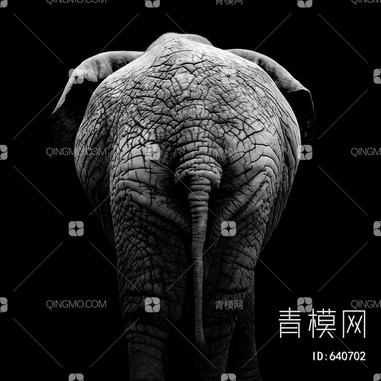 象  大象贴图下载【ID:640702】