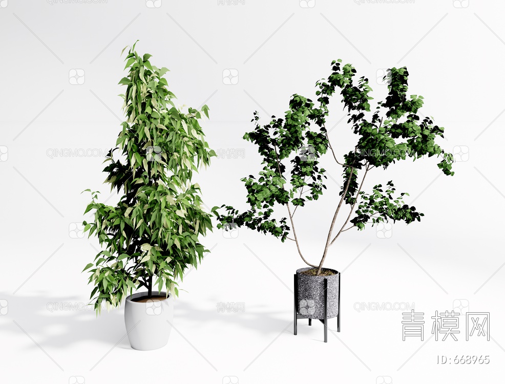 植物盆栽 植物盆景SU模型下载【ID:668965】