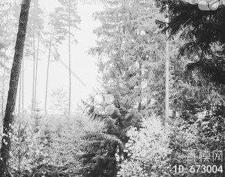 唯美森林风景装饰画 (6)贴图下载【ID:673004】