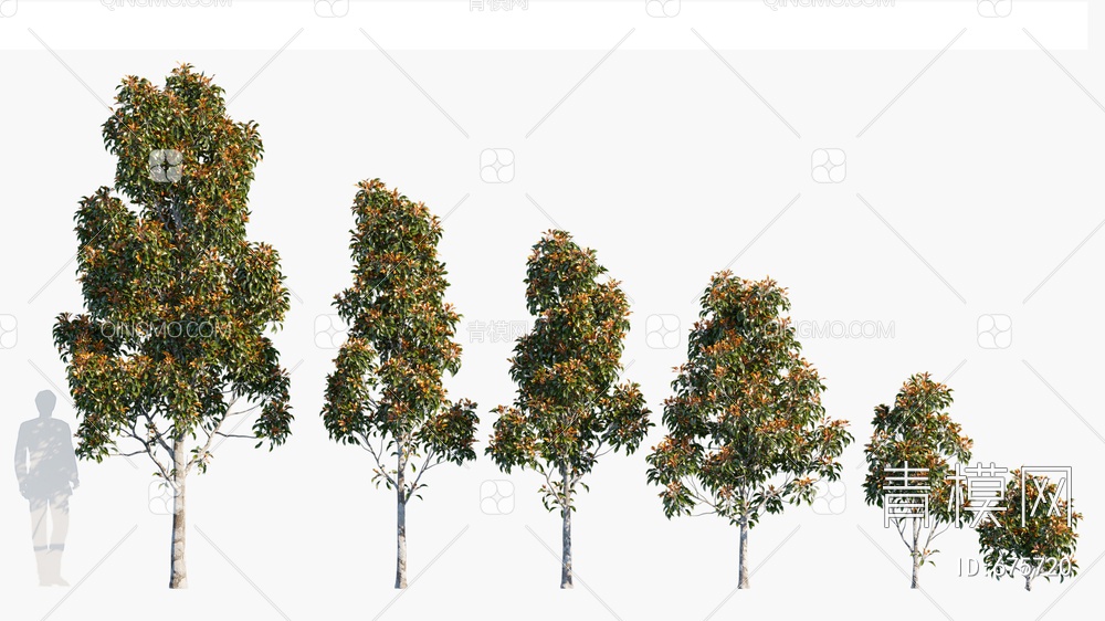 景观树 树3D模型下载【ID:675720】