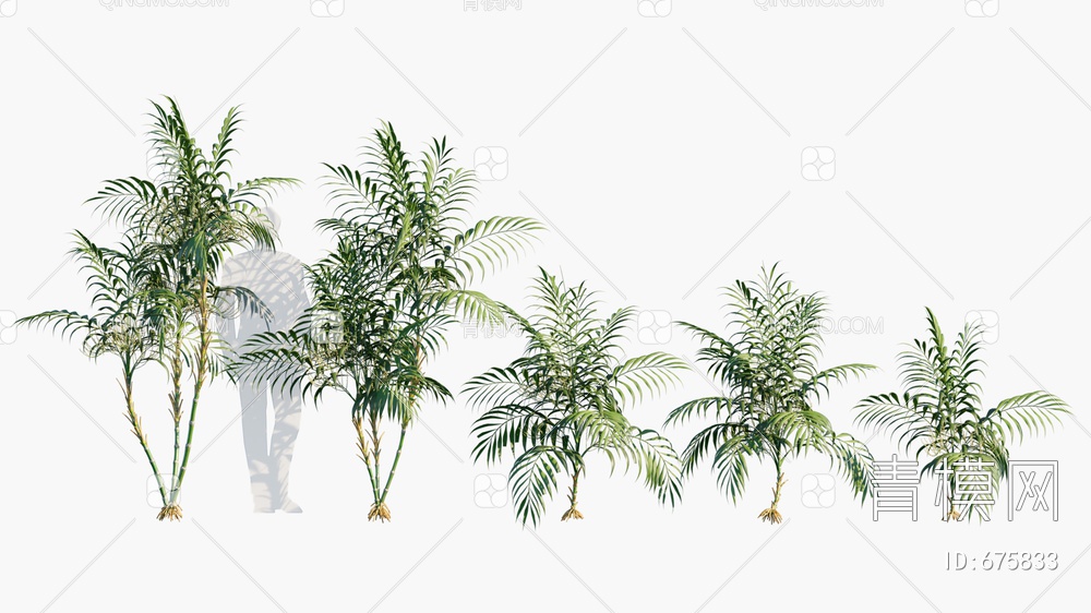 树 棕榈3D模型下载【ID:675833】