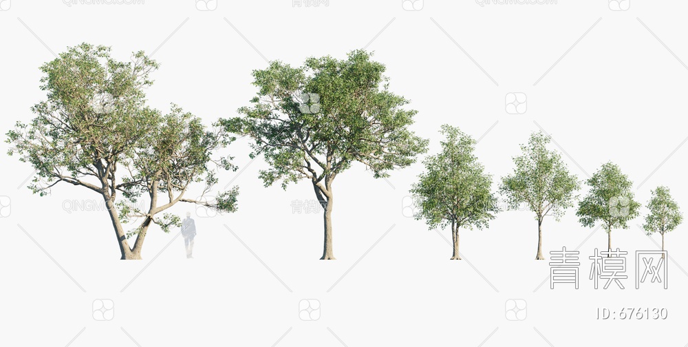 树 白橡 白栎 橡树3D模型下载【ID:676130】
