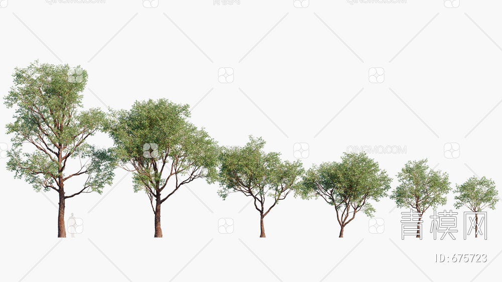 景观树3D模型下载【ID:675723】