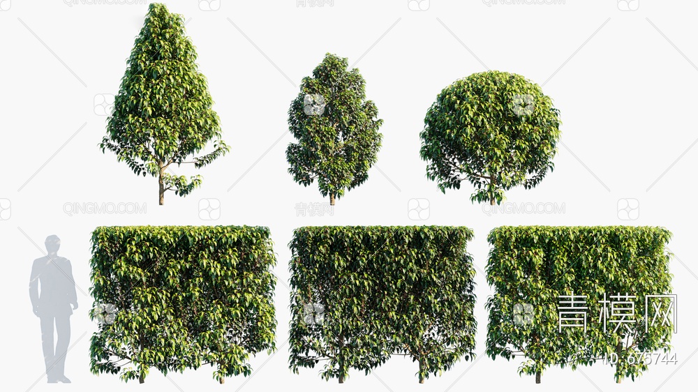树 庭院植物3D模型下载【ID:675744】
