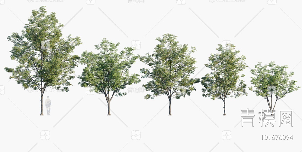七叶树 树3D模型下载【ID:676094】