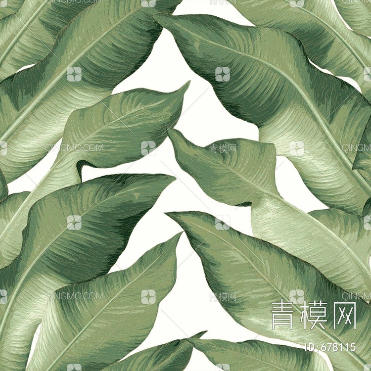 植物壁纸 大自然壁纸贴图下载【ID:678115】