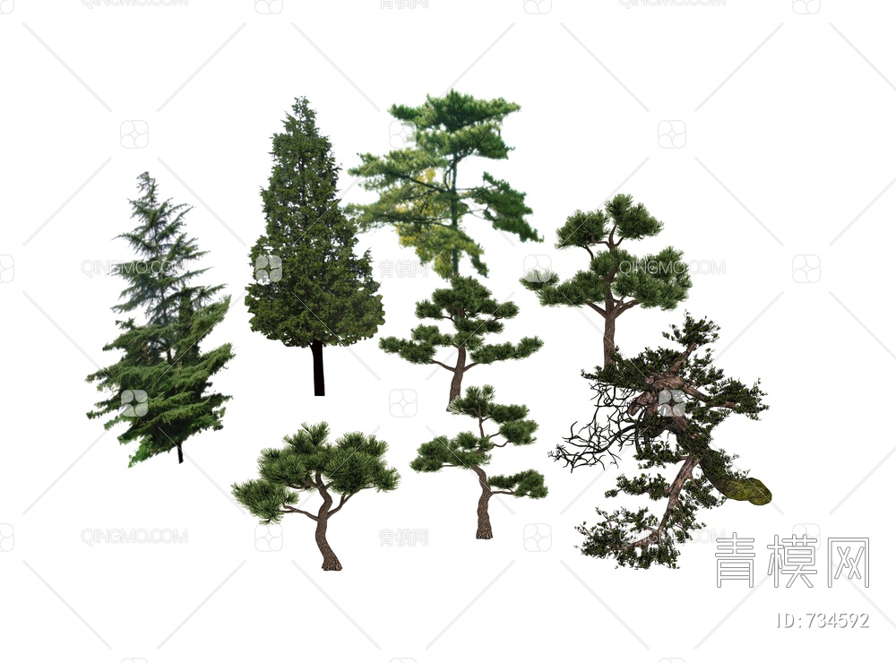 园林景观造型松乔木松树SU模型下载【ID:734592】