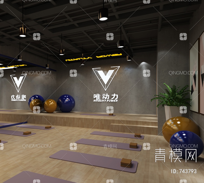 健身房 瑜伽室3D模型下载【ID:743793】