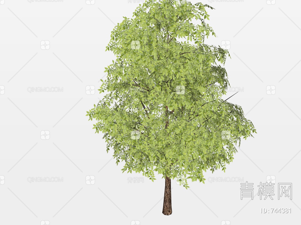 2D树 2D树木 景观树SU模型下载【ID:744381】