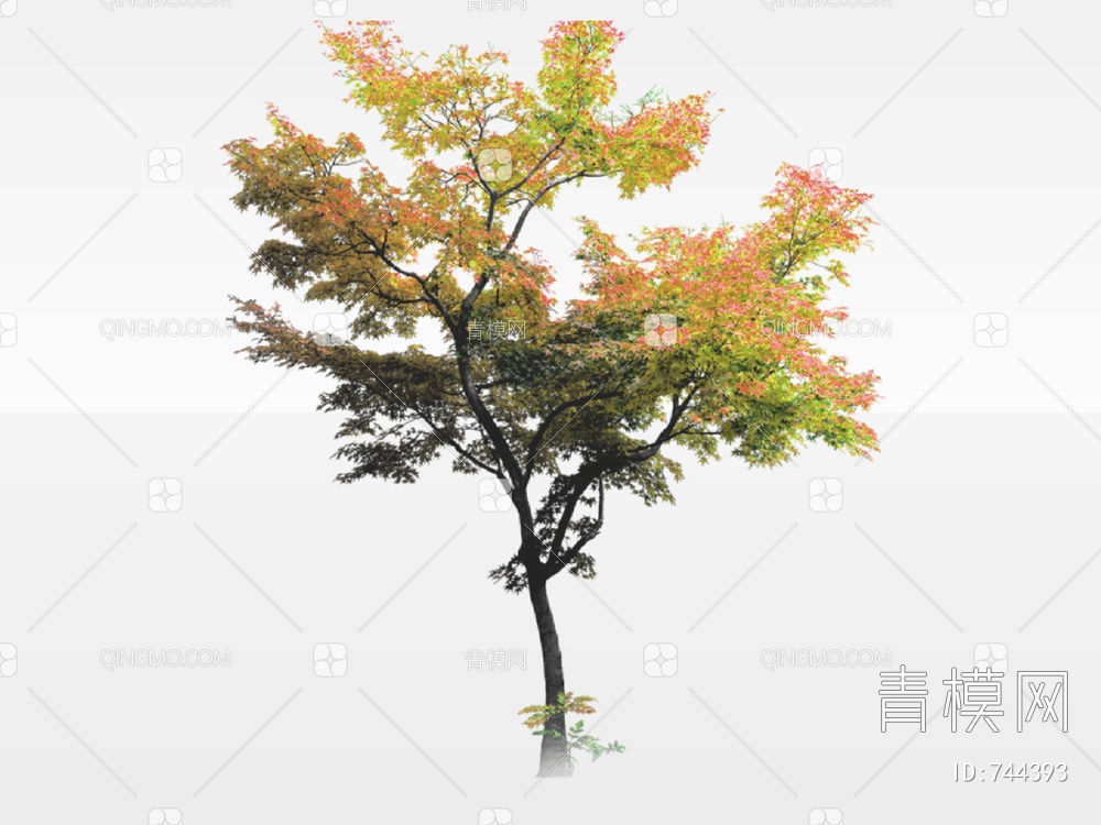 2D树 2D树木 景观树SU模型下载【ID:744393】
